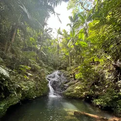 Charco La Confesora - Villalba