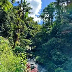 Charco La Confesora - Villalba