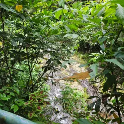 Charco La Confesora - Villalba