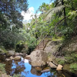 Charco La Confesora - Villalba