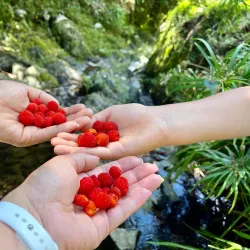 Charco La Confesora - Villalba