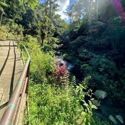 Charco La Confesora - Villalba