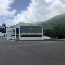 Festival de la Lechona - Villalba