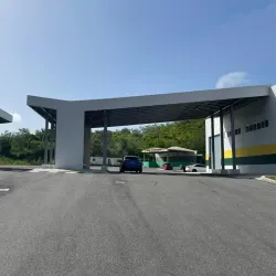 Festival de la Lechona - Villalba