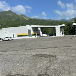 Festival de la Lechona - Villalba