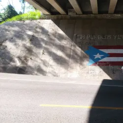 Festival de la Lechona - Villalba