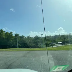 Festival de la Lechona - Villalba