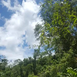 Charco Azul - Yauco