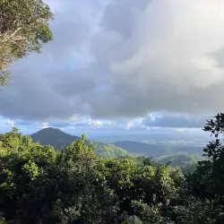 Coffee Plantations of Yauco - Yauco