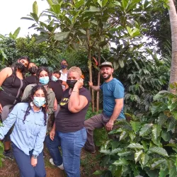 Coffee Plantations of Yauco - Yauco