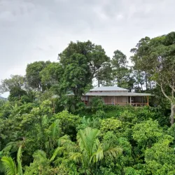 Coffee Plantations of Yauco - Yauco