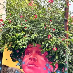 Museo de Yauco - Yauco