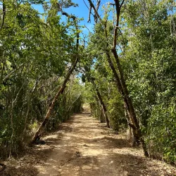 Reserva Natural de Guánica - Yauco