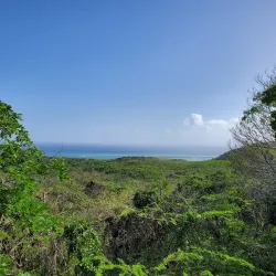 Reserva Natural de Guánica - Yauco