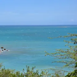 Reserva Natural de Guánica - Yauco