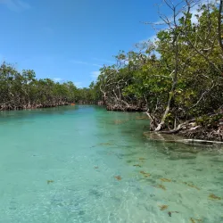 Reserva Natural de Guánica - Yauco