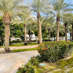 Al Daayen Cultural Center - Al Daayen