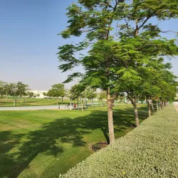 Al Daayen Cultural Center - Al Daayen
