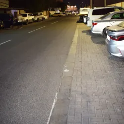 Al Murrah Date Palm Groves - Al Murrah