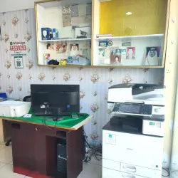 Al Murrah Date Palm Groves - Al Murrah