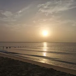 Traditional Bedouin Camps - Al Murrah