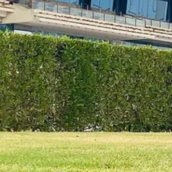 Al Furousiya Equestrian Complex - Al Rayyan