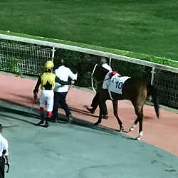 Al Furousiya Equestrian Complex - Al Rayyan