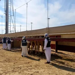 Al Rayyan Camel Racetrack - Al Rayyan