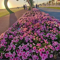 Al Rayyan Park - Al Rayyan