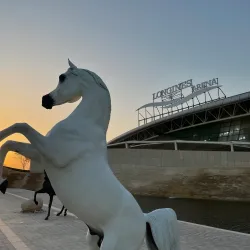 Al Shaqab Equestrian Center - Al Rayyan