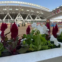 Al Shaqab Equestrian Center - Al Rayyan