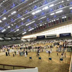 Al Shaqab Equestrian Center - Al Rayyan
