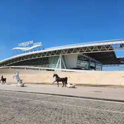 Al Shaqab Equestrian Center - Al Rayyan