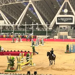 Al Shaqab Equestrian Center - Al Rayyan