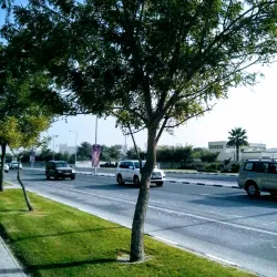 Al Sadd Park - Al Sadd