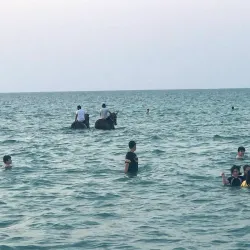 Al Wakrah Beach - Al Wakrah
