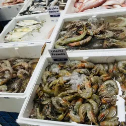 Al Wakrah Fish Market - Al Wakrah