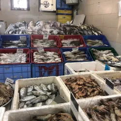 Al Wakrah Fish Market - Al Wakrah