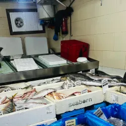 Al Wakrah Fish Market - Al Wakrah