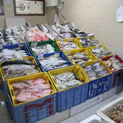 Al Wakrah Fish Market - Al Wakrah