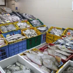 Al Wakrah Fish Market - Al Wakrah