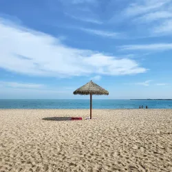 Al Wakrah Park - Al Wakrah