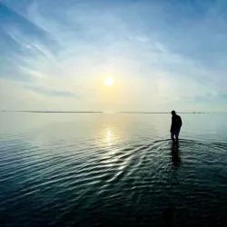 Al Wakrah Park - Al Wakrah