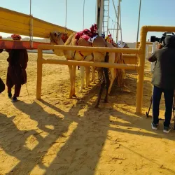 Al Wukair Camel Race Track - Al-wukayr