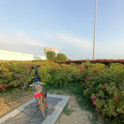Al Wukair Falconry Center - Al-wukayr