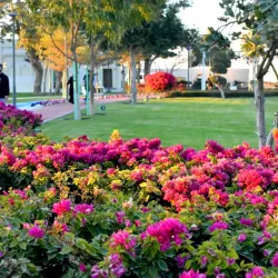 Al Wukair Park - Al-wukayr