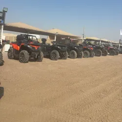 Desert Safari Tours - Al-wukayr