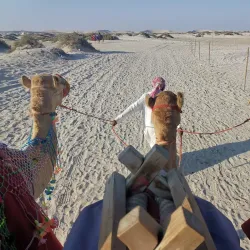 Desert Safari Tours - Al-wukayr