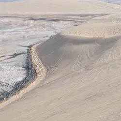 Desert Safari Tours - Al-wukayr