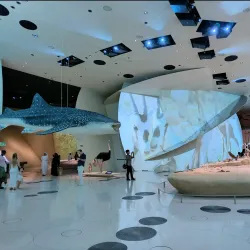 National Museum of Qatar - Doha